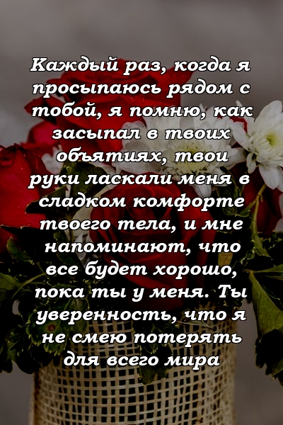 Каждый раз, когда я просыпаюсь рядом с тобой, я помню, как засыпал в твоих объятиях, твои руки ласкали меня в сладком комфорте твоего тела, и мне напоминают, что все будет хорошо, пока ты у меня. Ты уверенность, что я не смею потерять для всего мира