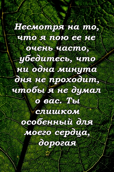 Несмотря на то, что я пою ее не очень часто, убедитесь, что ни одна минута дня не проходит, чтобы я не думал о вас. Ты слишком особенный для моего сердца, дорогая