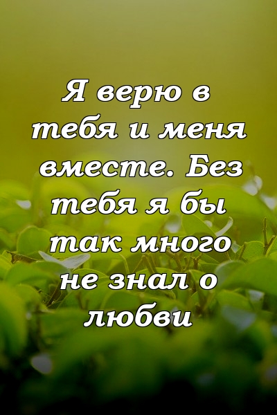 Я верю в тебя и меня вместе. Без тебя я бы так много не знал о любви