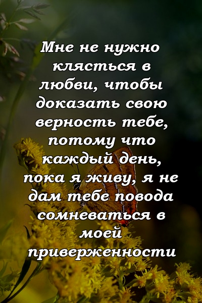 Мне не нужно клясться в любви, чтобы доказать свою верность тебе, потому что каждый день, пока я живу, я не дам тебе повода сомневаться в моей приверженности