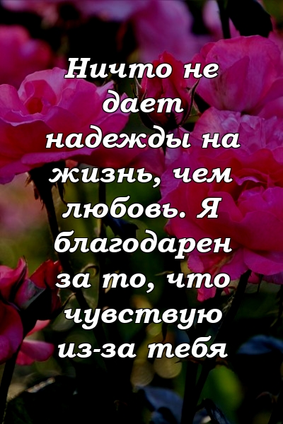 Ничто не дает надежды на жизнь, чем любовь. Я благодарен за то, что чувствую из-за тебя