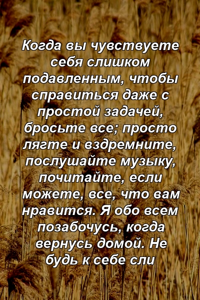 Когда вы чувствуете себя слишком подавленным, чтобы справиться даже с простой задачей, бросьте все; просто лягте и вздремните, послушайте музыку, почитайте, если можете, все, что вам нравится. Я обо всем позабочусь, когда вернусь домой. Не будь к себе сли