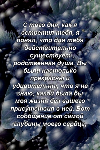 С того дня, как я встретил тебя, я понял, что для тебя действительно существует родственная душа. Вы были настолько прекрасны и удивительны, что я не знаю, какой была бы моя жизнь без вашего присутствия в ней. Вот сообщение от самой глубины моего сердца, 