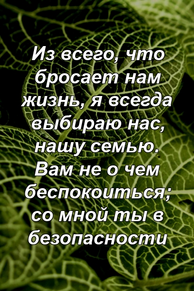 Из всего, что бросает нам жизнь, я всегда выбираю нас, нашу семью. Вам не о чем беспокоиться; со мной ты в безопасности