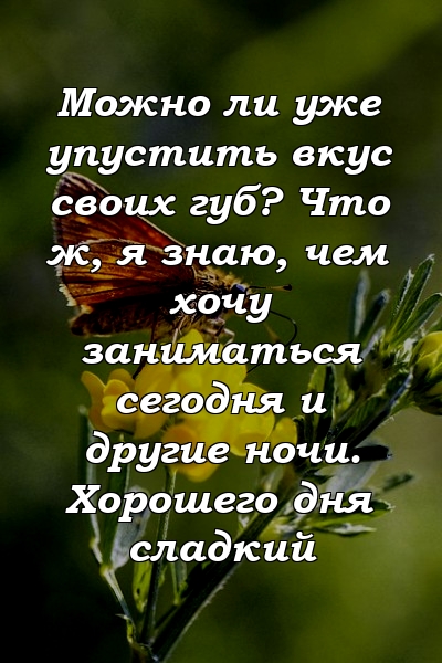 Можно ли уже упустить вкус своих губ? Что ж, я знаю, чем хочу заниматься сегодня и другие ночи. Хорошего дня сладкий