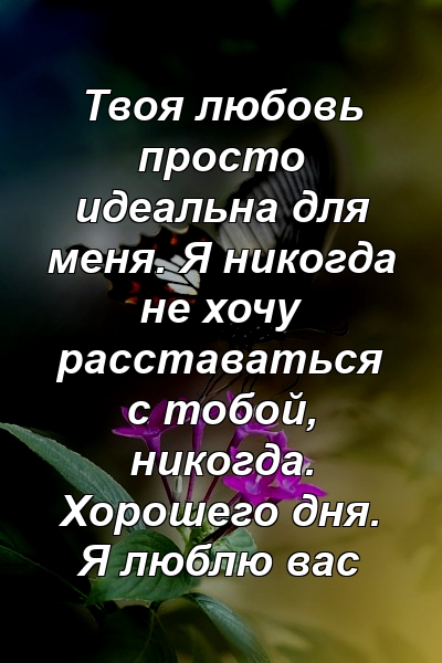 Твоя любовь просто идеальна для меня. Я никогда не хочу расставаться с тобой, никогда. Хорошего дня. Я люблю вас