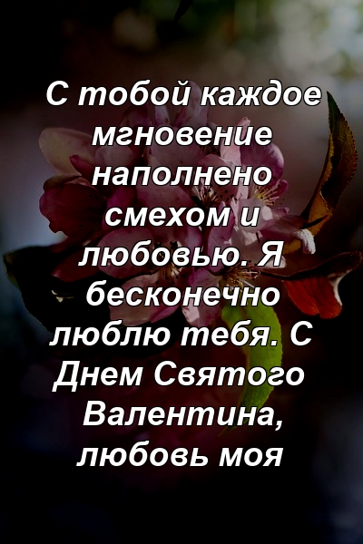 С тобой каждое мгновение наполнено смехом и любовью. Я бесконечно люблю тебя. С Днем Святого Валентина, любовь моя