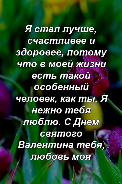 Я стал лучше, счастливее и здоровее, потому что в моей жизни есть такой особенный человек, как ты. Я нежно тебя люблю. С Днем святого Валентина тебя, любовь моя