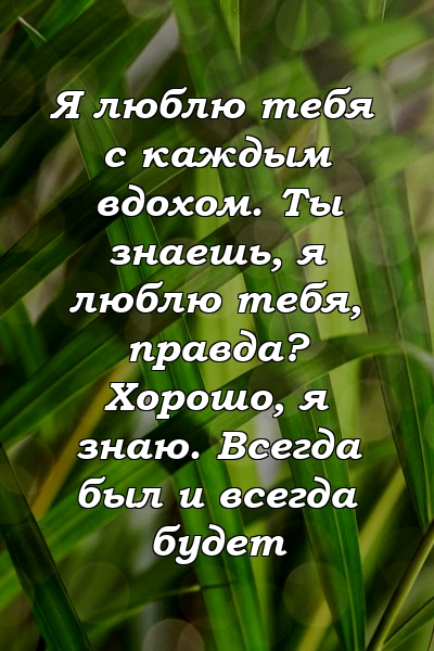 Я люблю тебя с каждым вдохом. Ты знаешь, я люблю тебя, правда? Хорошо, я знаю. Всегда был и всегда будет