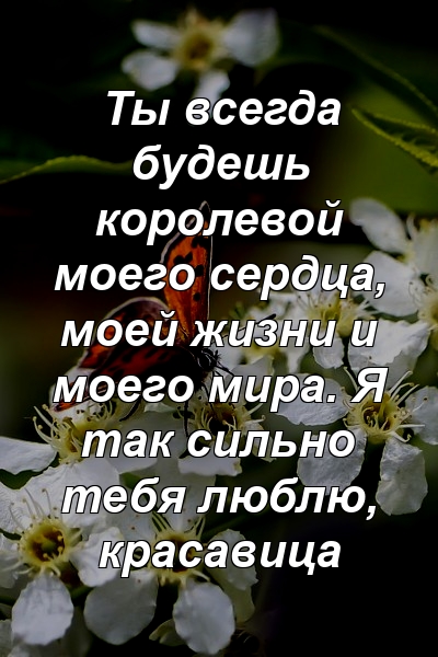 Ты всегда будешь королевой моего сердца, моей жизни и моего мира. Я так сильно тебя люблю, красавица