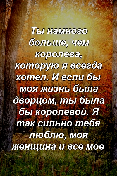 Ты намного больше, чем королева, которую я всегда хотел. И если бы моя жизнь была дворцом, ты была бы королевой. Я так сильно тебя люблю, моя женщина и все мое