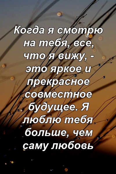 Когда я смотрю на тебя, все, что я вижу, - это яркое и прекрасное совместное будущее. Я люблю тебя больше, чем саму любовь