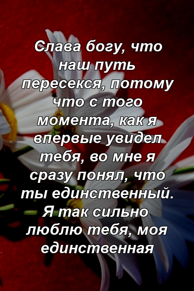 Слава богу, что наш путь пересекся, потому что с того момента, как я впервые увидел тебя, во мне я сразу понял, что ты единственный. Я так сильно люблю тебя, моя единственная