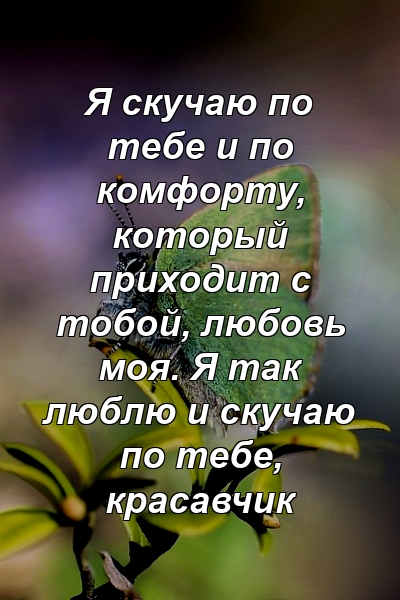 Я скучаю по тебе и по комфорту, который приходит с тобой, любовь моя. Я так люблю и скучаю по тебе, красавчик