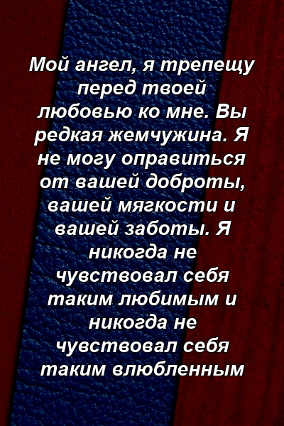 Мой ангел, я трепещу перед твоей любовью ко мне. Вы редкая жемчужина. Я не могу оправиться от вашей доброты, вашей мягкости и вашей заботы. Я никогда не чувствовал себя таким любимым и никогда не чувствовал себя таким влюбленным