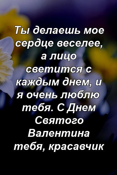 Ты делаешь мое сердце веселее, а лицо светится с каждым днем, и я очень люблю тебя. С Днем Святого Валентина тебя, красавчик