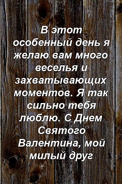 В этот особенный день я желаю вам много веселья и захватывающих моментов. Я так сильно тебя люблю. С Днем Святого Валентина, мой милый друг