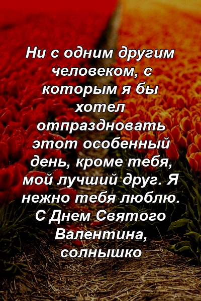 Ни с одним другим человеком, с которым я бы хотел отпраздновать этот особенный день, кроме тебя, мой лучший друг. Я нежно тебя люблю. С Днем Святого Валентина, солнышко