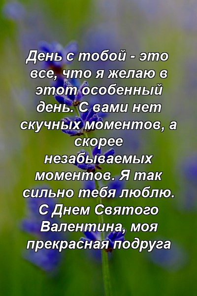 День с тобой - это все, что я желаю в этот особенный день. С вами нет скучных моментов, а скорее незабываемых моментов. Я так сильно тебя люблю. С Днем Святого Валентина, моя прекрасная подруга