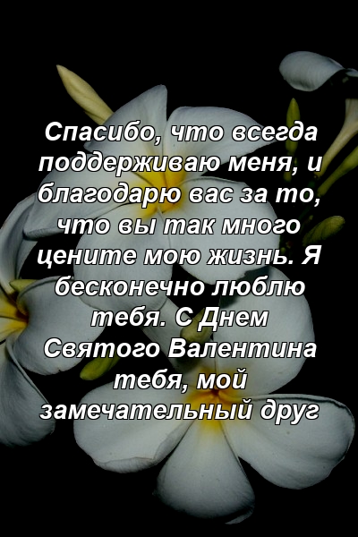 Спасибо, что всегда поддерживаю меня, и благодарю вас за то, что вы так много цените мою жизнь. Я бесконечно люблю тебя. С Днем Святого Валентина тебя, мой замечательный друг