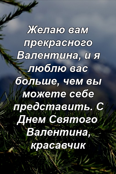 Желаю вам прекрасного Валентина, и я люблю вас больше, чем вы можете себе представить. С Днем Святого Валентина, красавчик