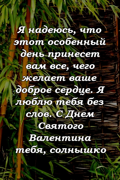 Я надеюсь, что этот особенный день принесет вам все, чего желает ваше доброе сердце. Я люблю тебя без слов. С Днем Святого Валентина тебя, солнышко