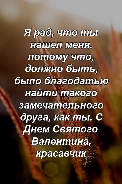 Я рад, что ты нашел меня, потому что, должно быть, было благодатью найти такого замечательного друга, как ты. С Днем Святого Валентина, красавчик