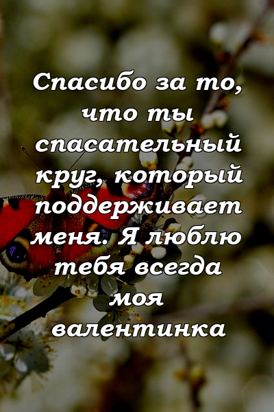 Спасибо за то, что ты спасательный круг, который поддерживает меня. Я люблю тебя всегда моя валентинка