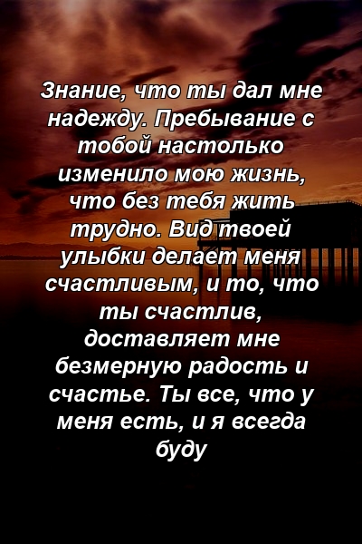 Знание, что ты дал мне надежду. Пребывание с тобой настолько изменило мою жизнь, что без тебя жить трудно. Вид твоей улыбки делает меня счастливым, и то, что ты счастлив, доставляет мне безмерную радость и счастье. Ты все, что у меня есть, и я всегда буду