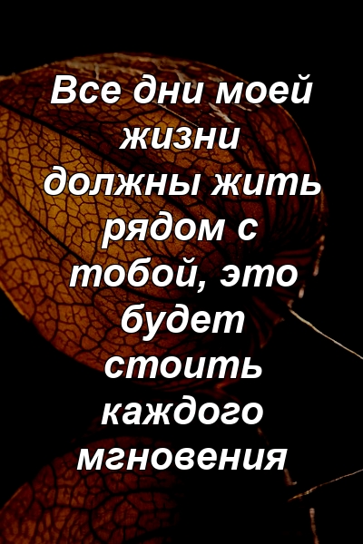 Все дни моей жизни должны жить рядом с тобой, это будет стоить каждого мгновения