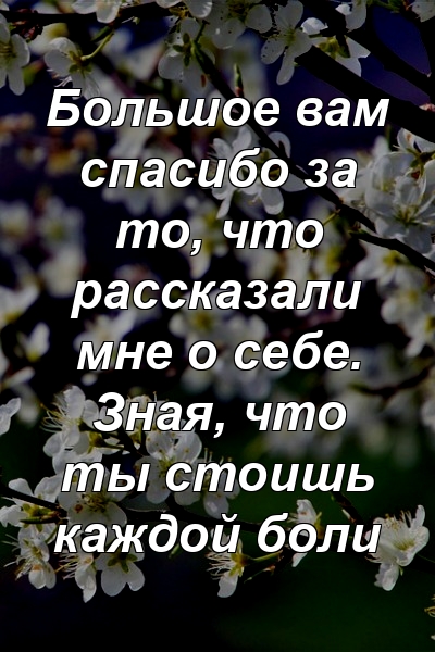 Большое вам спасибо за то, что рассказали мне о себе. Зная, что ты стоишь каждой боли