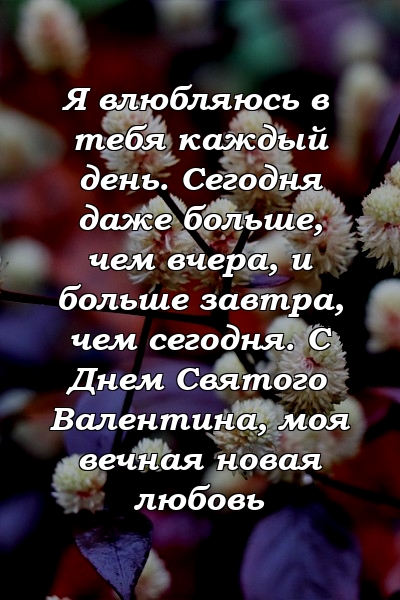 Я влюбляюсь в тебя каждый день. Сегодня даже больше, чем вчера, и больше завтра, чем сегодня. С Днем Святого Валентина, моя вечная новая любовь