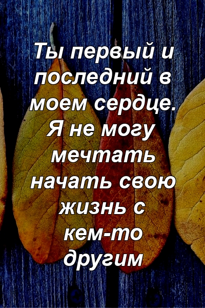 Ты первый и последний в моем сердце. Я не могу мечтать начать свою жизнь с кем-то другим