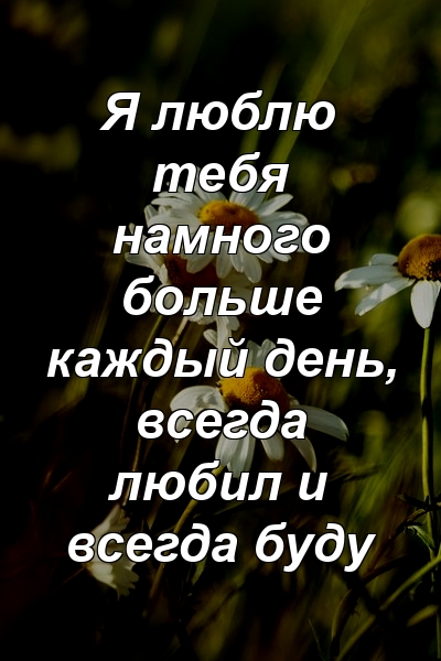 Я люблю тебя намного больше каждый день, всегда любил и всегда буду