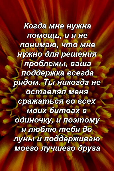 Когда мне нужна помощь, и я не понимаю, что мне нужно для решения проблемы, ваша поддержка всегда рядом. Ты никогда не оставлял меня сражаться во всех моих битвах в одиночку, и поэтому я люблю тебя до луны и поддерживаю моего лучшего друга