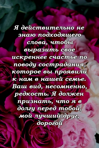 Я действительно не знаю подходящего слова, чтобы выразить свое искреннее счастье по поводу сострадания, которое вы проявили к нам в нашей семье. Ваш вид, несомненно, редкость. Я должен признать, что я в долгу перед тобой, мой лучший друг, дорогой