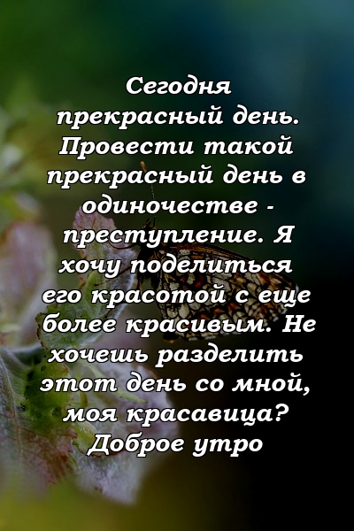 Сегодня прекрасный день. Провести такой прекрасный день в одиночестве - преступление. Я хочу поделиться его красотой с еще более красивым. Не хочешь разделить этот день со мной, моя красавица? Доброе утро