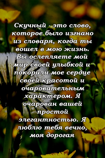 Скучный - это слово, которое было изгнано из словаря, когда ты вошел в мою жизнь. Вы ослепляете мой мир своей улыбкой и покорили мое сердце своей красотой и очаровательным характером. Я очарован вашей простой элегантностью. Я люблю тебя вечно, моя дорогая