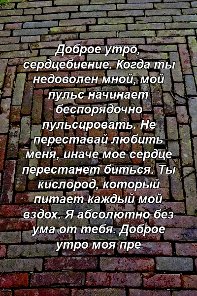 Доброе утро, сердцебиение. Когда ты недоволен мной, мой пульс начинает беспорядочно пульсировать. Не переставай любить меня, иначе мое сердце перестанет биться. Ты кислород, который питает каждый мой вздох. Я абсолютно без ума от тебя. Доброе утро моя пре