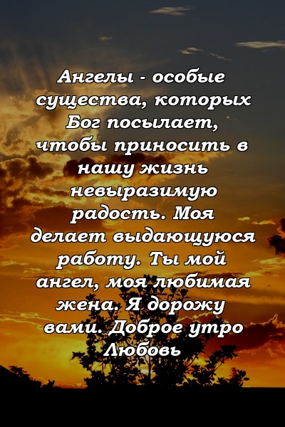 Ангелы - особые существа, которых Бог посылает, чтобы приносить в нашу жизнь невыразимую радость. Моя делает выдающуюся работу. Ты мой ангел, моя любимая жена. Я дорожу вами. Доброе утро Любовь