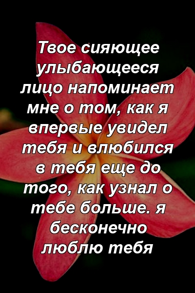 Твое сияющее улыбающееся лицо напоминает мне о том, как я впервые увидел тебя и влюбился в тебя еще до того, как узнал о тебе больше. я бесконечно люблю тебя