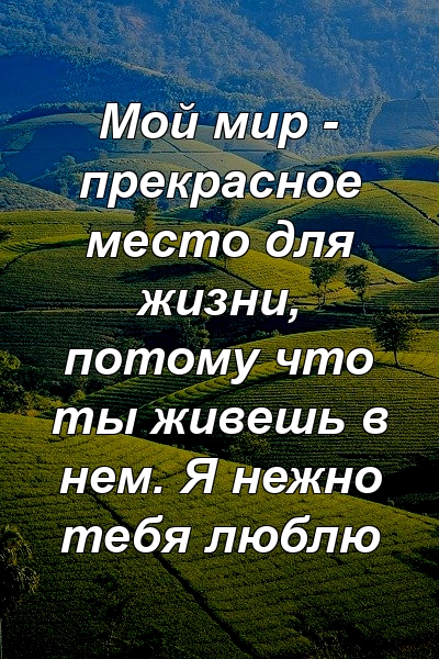 Мой мир - прекрасное место для жизни, потому что ты живешь в нем. Я нежно тебя люблю