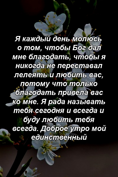 Я каждый день молюсь о том, чтобы Бог дал мне благодать, чтобы я никогда не переставал лелеять и любить вас, потому что только благодать привела вас ко мне. Я рада называть тебя сегодня и всегда и буду любить тебя всегда. Доброе утро мой единственный