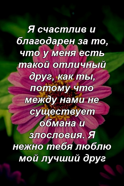 Я счастлив и благодарен за то, что у меня есть такой отличный друг, как ты, потому что между нами не существует обмана и злословия. Я нежно тебя люблю мой лучший друг