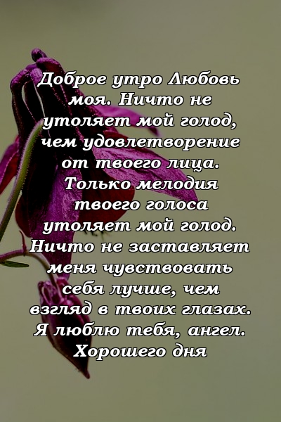 Доброе утро Любовь моя. Ничто не утоляет мой голод, чем удовлетворение от твоего лица. Только мелодия твоего голоса утоляет мой голод. Ничто не заставляет меня чувствовать себя лучше, чем взгляд в твоих глазах. Я люблю тебя, ангел. Хорошего дня