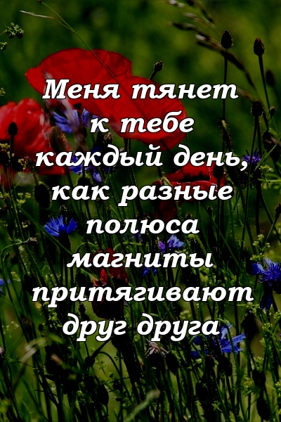 Меня тянет к тебе каждый день, как разные полюса магниты притягивают друг друга