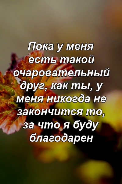 Пока у меня есть такой очаровательный друг, как ты, у меня никогда не закончится то, за что я буду благодарен