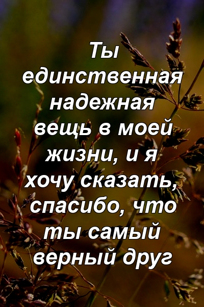 Ты единственная надежная вещь в моей жизни, и я хочу сказать, спасибо, что ты самый верный друг