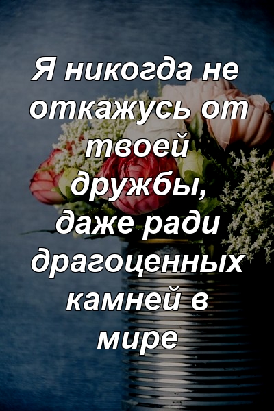 Я никогда не откажусь от твоей дружбы, даже ради драгоценных камней в мире