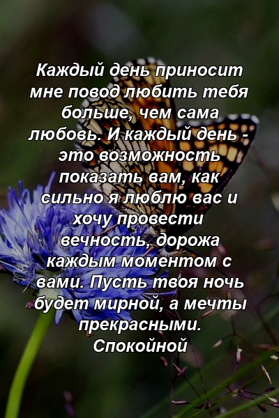 Каждый день приносит мне повод любить тебя больше, чем сама любовь. И каждый день - это возможность показать вам, как сильно я люблю вас и хочу провести вечность, дорожа каждым моментом с вами. Пусть твоя ночь будет мирной, а мечты прекрасными. Спокойной 